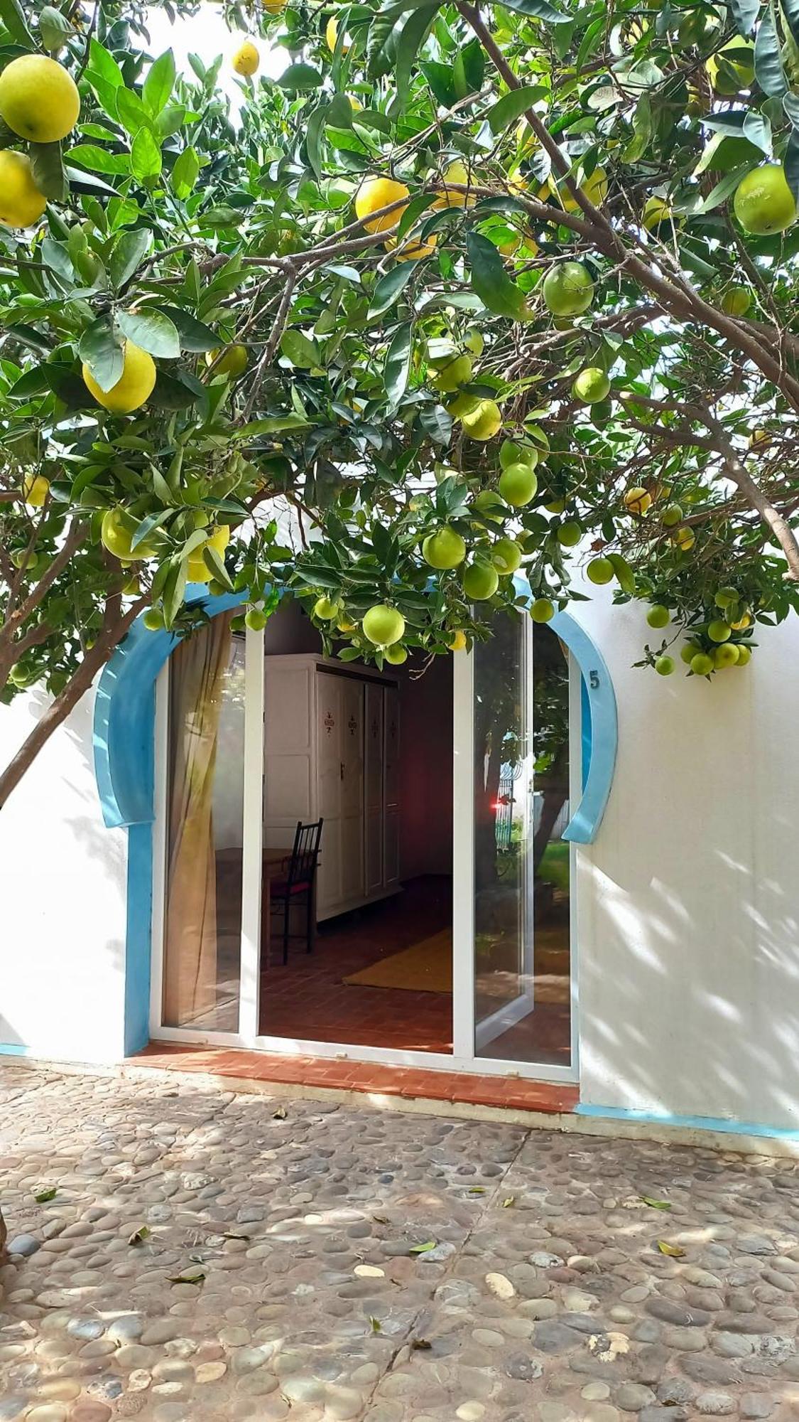 Rayani Maison D'Hotes Chozas Екстериор снимка